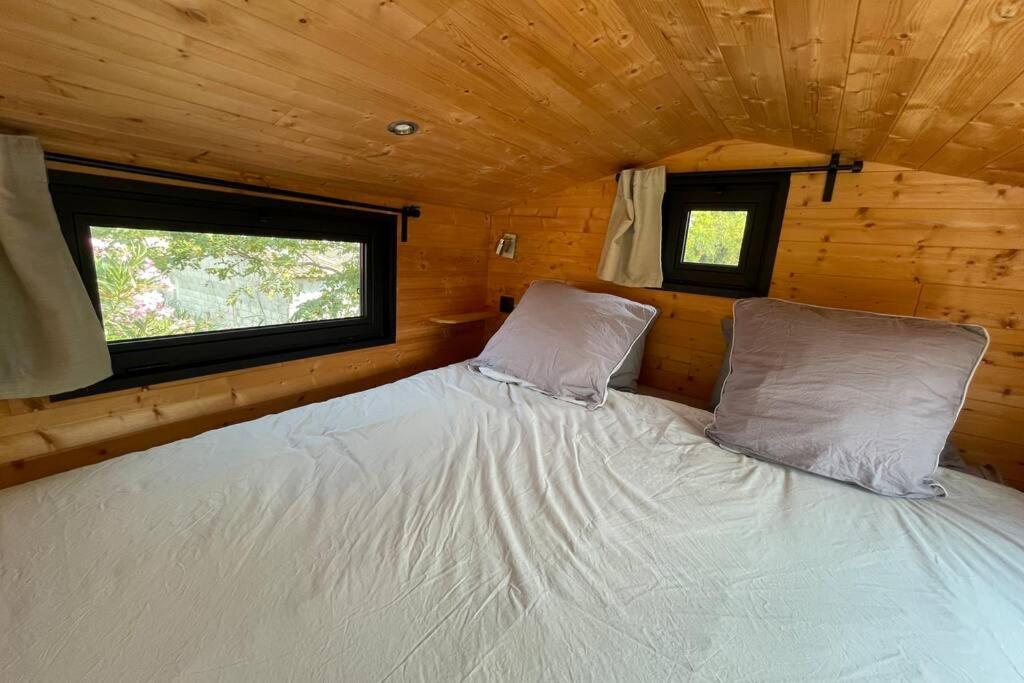 Myinsolite - Tiny-House, Jacuzzi, Brasero, Piscine Aigues-Mortes Exterior photo